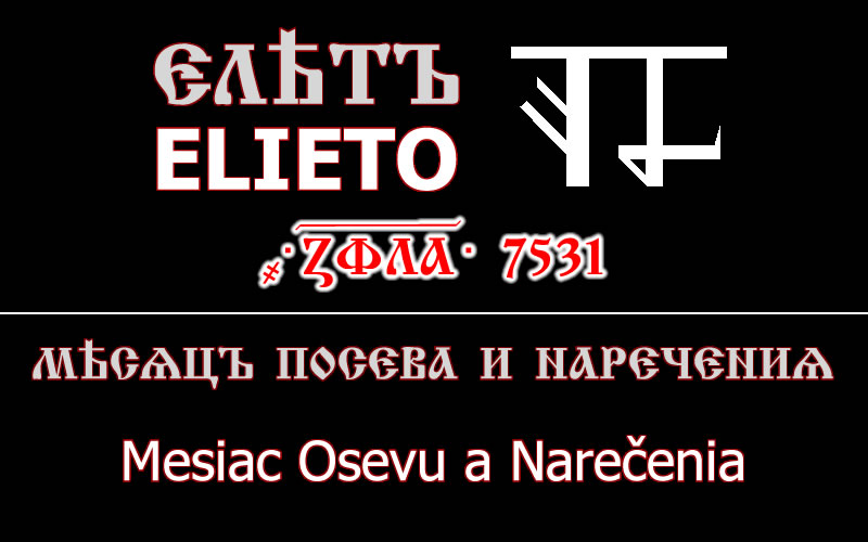 ELIETO 7531