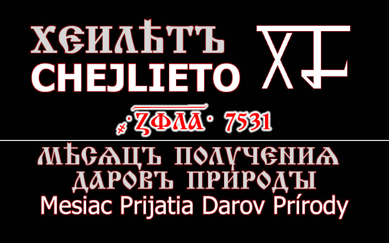 CHEJLIETO 7531
