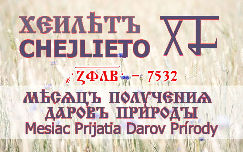 CHEJLIETO 7532