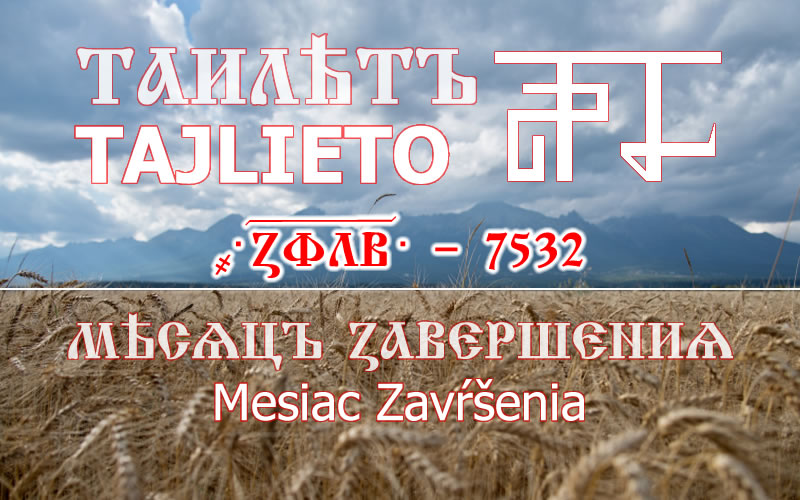 TAJLIETO 7532